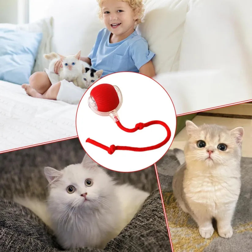Pelota Interactiva Inteligente para Mascotas