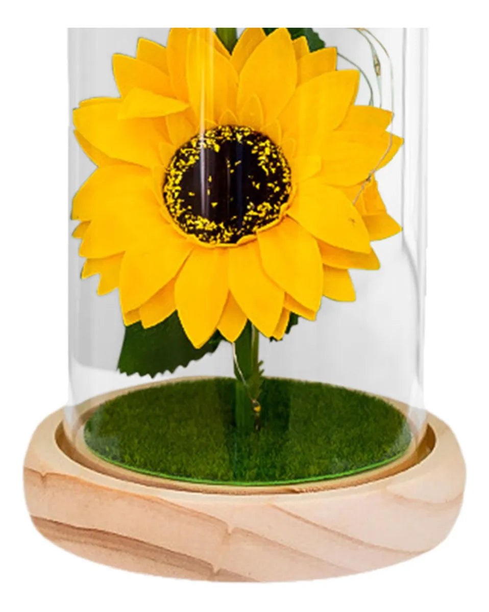 🌻 Cúpula de Girasol con Luz LED