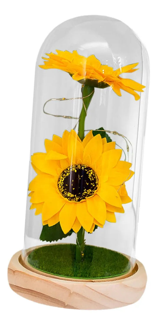 🌻 Cúpula de Girasol con Luz LED