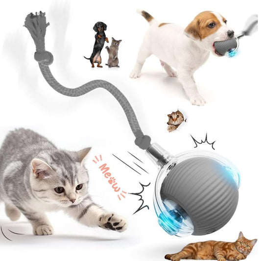 Pelota Interactiva Inteligente para Mascotas