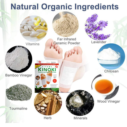 🌿 Kinoki – Parches Desintoxicantes Naturales